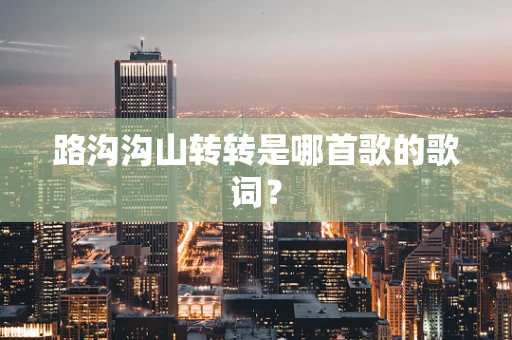 路沟沟山转转是哪首歌的歌词？
