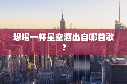 想喝一杯星空酒出自哪首歌？