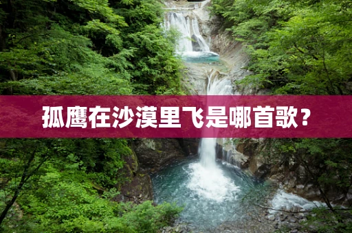 孤鹰在沙漠里飞是哪首歌？