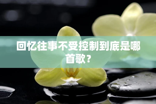 回忆往事不受控制到底是哪首歌？