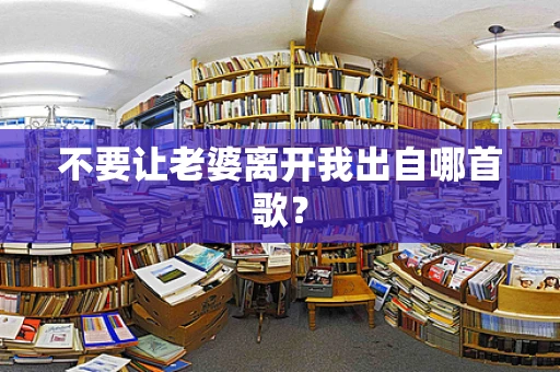 不要让老婆离开我出自哪首歌？