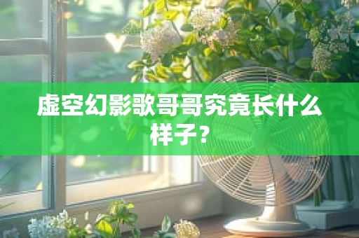 虚空幻影歌哥哥究竟长什么样子？