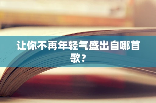 让你不再年轻气盛出自哪首歌？