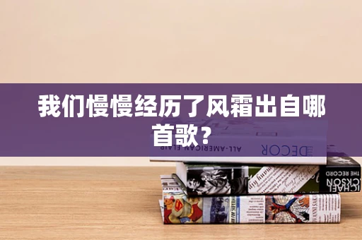 我们慢慢经历了风霜出自哪首歌？