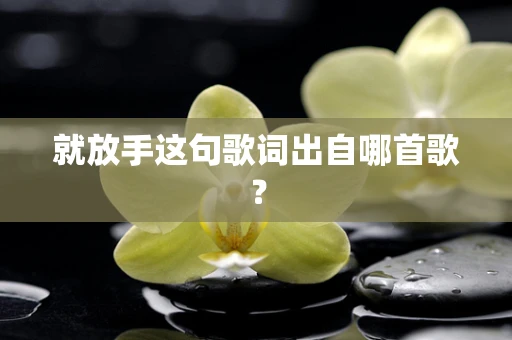 就放手这句歌词出自哪首歌？