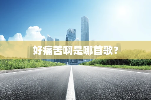 好痛苦啊是哪首歌？