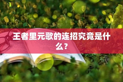 王者里元歌的连招究竟是什么？