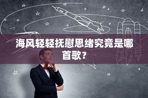 海风轻轻抚慰思绪究竟是哪首歌？