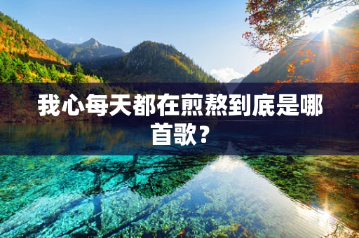 我心每天都在煎熬到底是哪首歌？