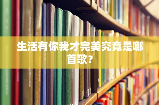 生活有你我才完美究竟是哪首歌？