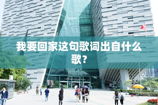 我要回家这句歌词出自什么歌？