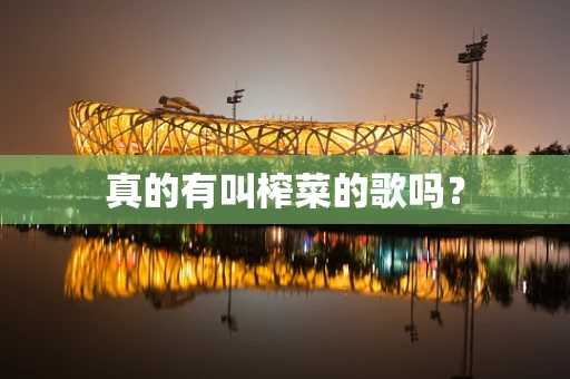 真的有叫榨菜的歌吗？