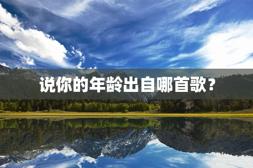 说你的年龄出自哪首歌？