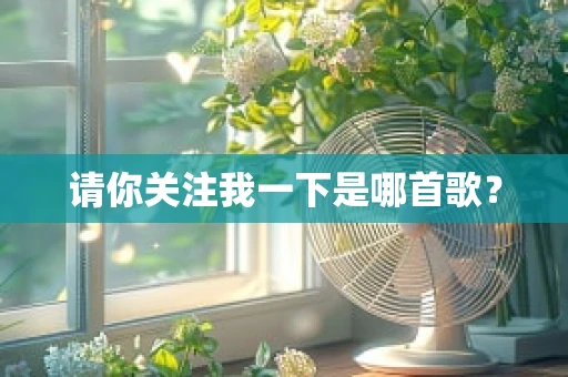 请你关注我一下是哪首歌？