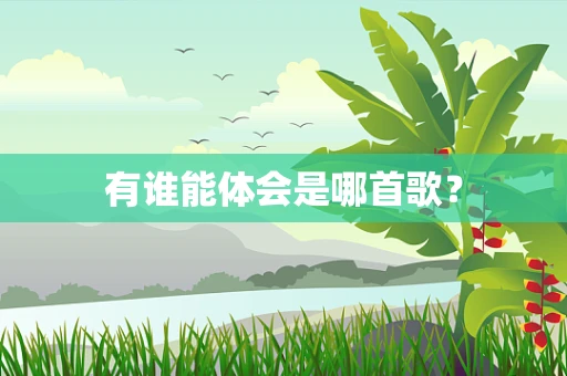 有谁能体会是哪首歌？