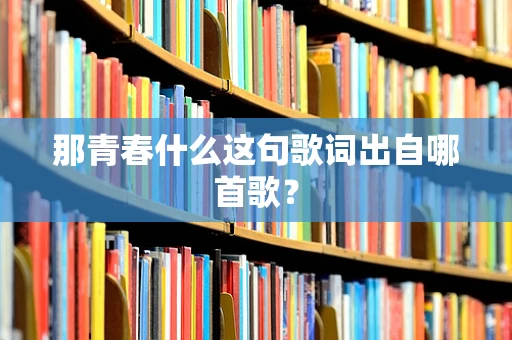 那青春什么这句歌词出自哪首歌？