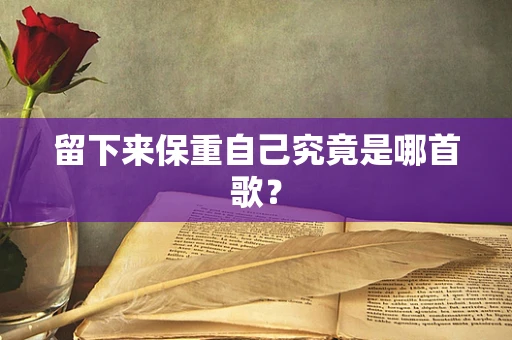 留下来保重自己究竟是哪首歌？