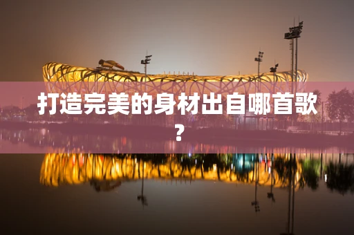 打造完美的身材出自哪首歌？