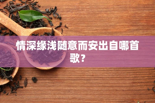 情深缘浅随意而安出自哪首歌？