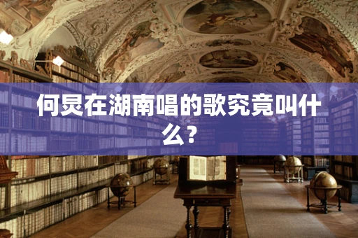 何炅在湖南唱的歌究竟叫什么？