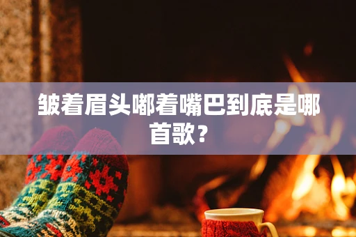 皱着眉头嘟着嘴巴到底是哪首歌？