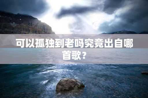 可以孤独到老吗究竟出自哪首歌？