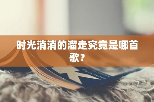 时光消消的溜走究竟是哪首歌？