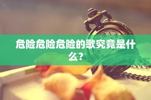 危险危险危险的歌究竟是什么？