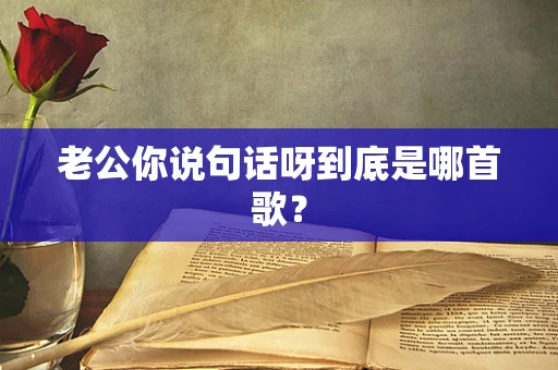 老公你说句话呀到底是哪首歌？