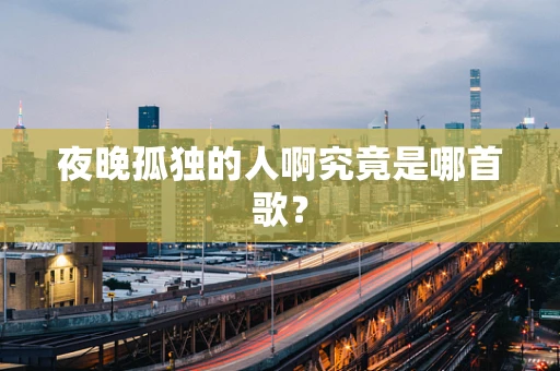 夜晚孤独的人啊究竟是哪首歌？