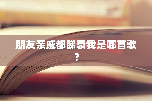 朋友亲戚都睇衰我是哪首歌？