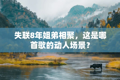 失联8年姐弟相聚，这是哪首歌的动人场景？
