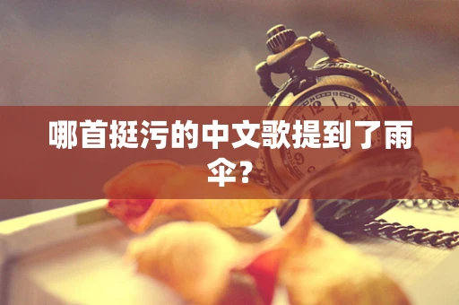 哪首挺污的中文歌提到了雨伞？