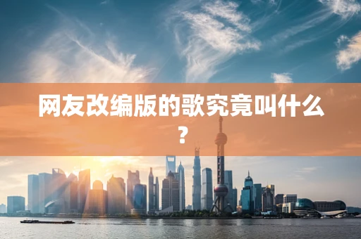 网友改编版的歌究竟叫什么？