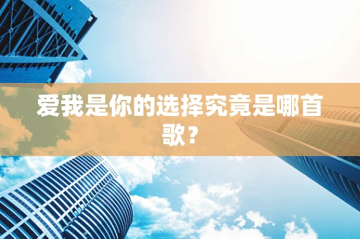 爱我是你的选择究竟是哪首歌？