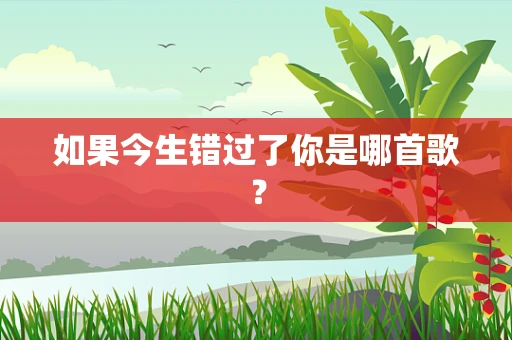 如果今生错过了你是哪首歌？
