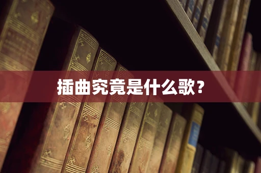 插曲究竟是什么歌？