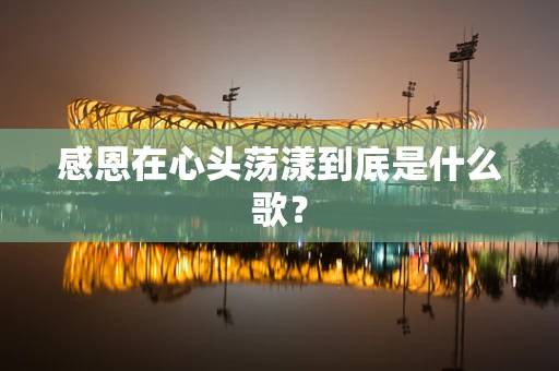 感恩在心头荡漾到底是什么歌？