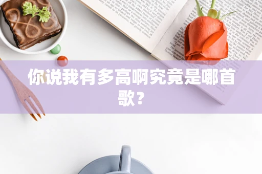 你说我有多高啊究竟是哪首歌？