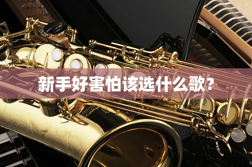 新手好害怕该选什么歌？