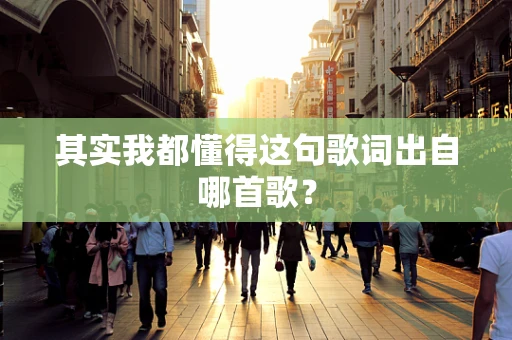 其实我都懂得这句歌词出自哪首歌？