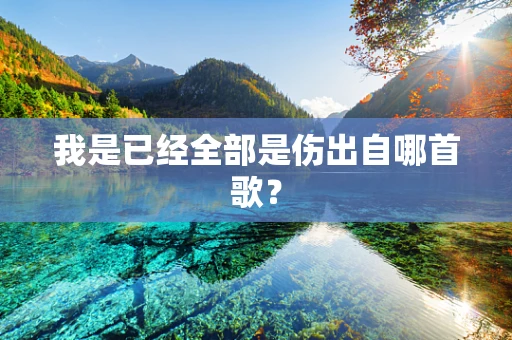 我是已经全部是伤出自哪首歌？