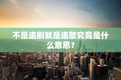 不是追剧就是追歌究竟是什么意思？