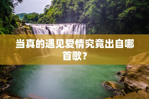 当真的遇见爱情究竟出自哪首歌？