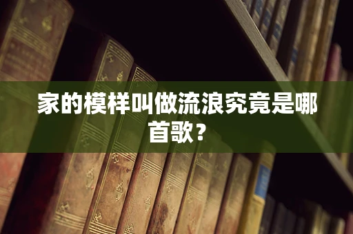 家的模样叫做流浪究竟是哪首歌？