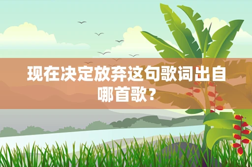 现在决定放弃这句歌词出自哪首歌？