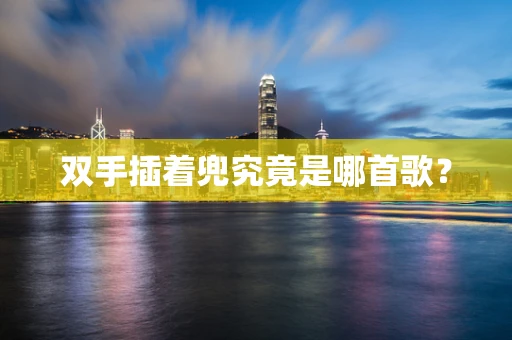 双手插着兜究竟是哪首歌？