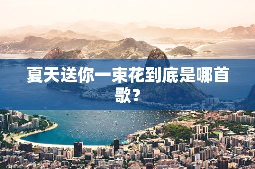 夏天送你一束花到底是哪首歌？