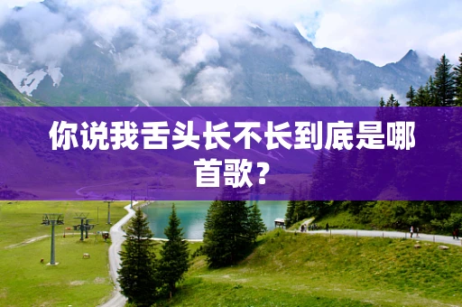 你说我舌头长不长到底是哪首歌？