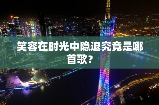 笑容在时光中隐退究竟是哪首歌？